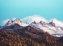 开云体育APP：用极致体验点亮你的体育新世界