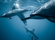 开云体育APP：用极致体验点亮你的体育新世界